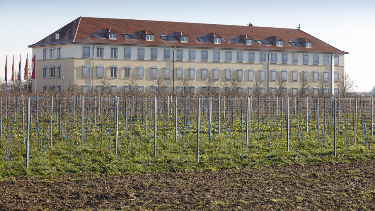 Das Foto zeigt die Gesamtansicht des Le Quartier-Hornbach 19 in Neustadt an der Weinstraße.